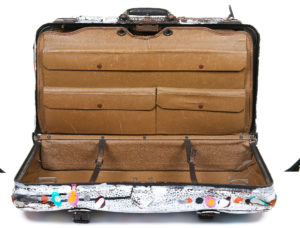 1 Suitcase With Cover