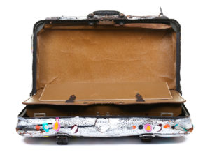 1 Suitcase With Cover