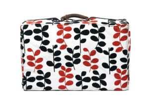 1 Suitcase With Cover