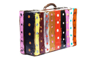 1 Suitcase With Cover