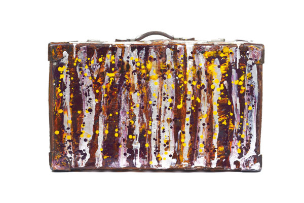 10 Suitcase With Cover