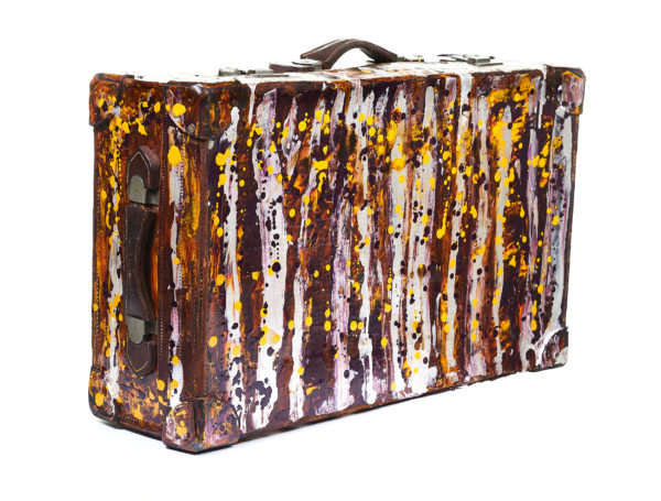 10 Suitcase With Cover