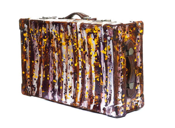 10 Suitcase With Cover