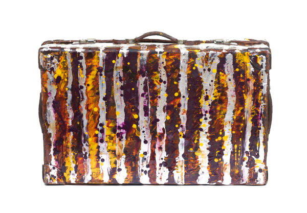 10 Suitcase With Cover