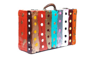 11 Suitcase With Cover