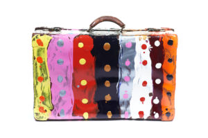 11 Suitcase With Cover