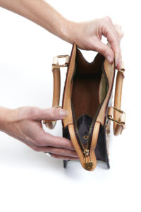 Louis Vuitton Purse open