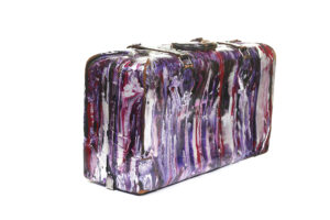 12. Suitcase With Cover