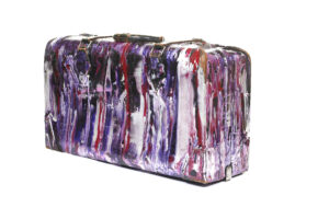 12. Suitcase With Cover